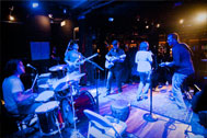 The Folkadelics